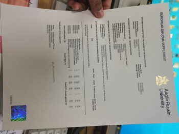 安格利亚鲁斯金大学成绩单