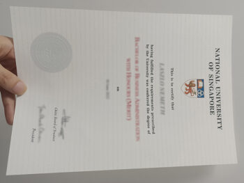 新加坡国立大学文凭