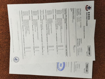 東華學院成绩单