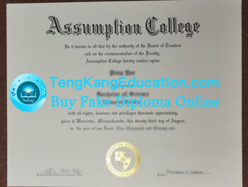 阿斯纳普学院文凭