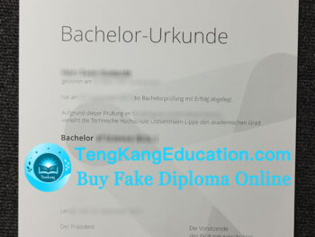 东威斯特法伦-利珀应用科技大学文凭Technische Hochschule Ostwestfalen-Lippe Urkunde