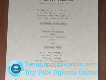 利默里克大学文凭University of Limerick diploma