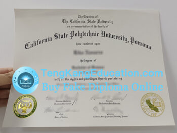 加州州立理工大学波莫纳分校文凭