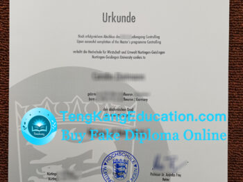 尼尔廷根应用科技大学文凭Nürtingen-Geislingen University Urkunde