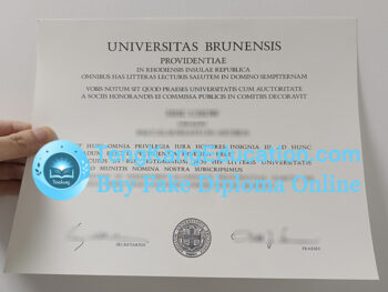 布朗大学文凭Brown University diploma