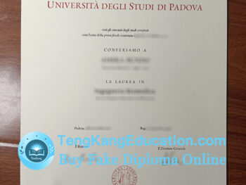 帕多瓦大学文凭University of Padua diploma