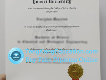 延世大学文凭Yonsei University diploma
