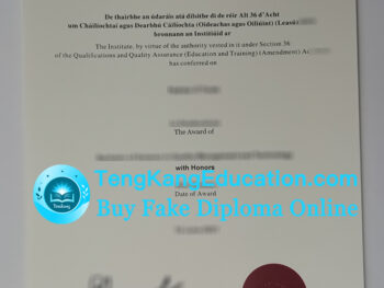 斯莱戈理工学院文凭Institute of Technology, Sligo diploma
