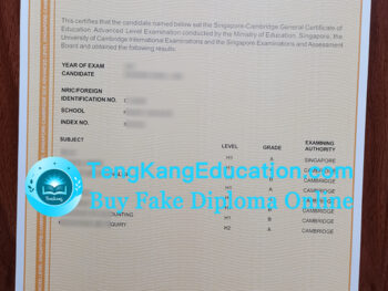 新加坡剑桥GCE证书Singapore Cambridge GCE certificate
