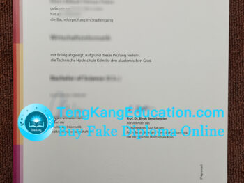 科隆应用技术大学文凭TH Köln Urkunde