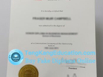 管理与科学大学文凭Management & Science University diploma