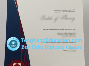 纳尔逊·曼德拉大学文凭Nelson Mandela Metropolitan University diploma