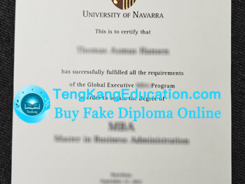 纳瓦拉大学文凭University of Navarra diploma
