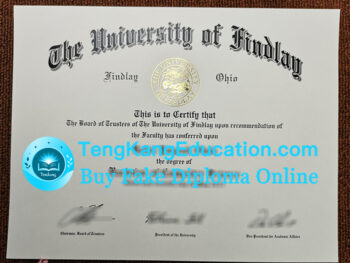 芬利大学文凭University of Findlay diploma