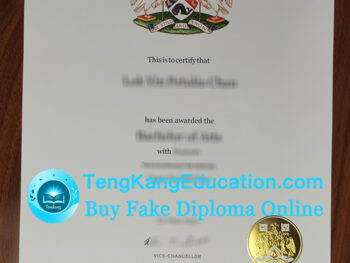 萨塞克斯大学文凭University of Sussex diploma