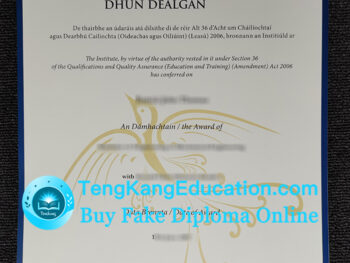 邓多克理工学院文凭Dundalk Institute of Technology diploma