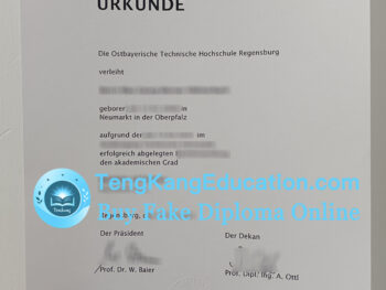 雷根斯堡应用科技大学文凭OTH Regensburg Urkunde