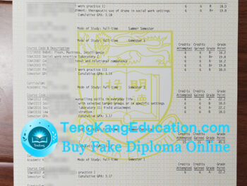 香港大學成績單University of Hong Kong transcript