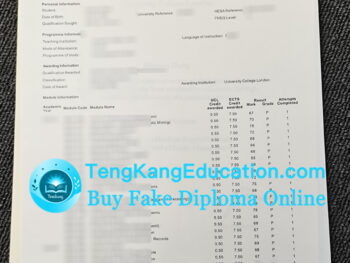 伦敦大学学院成绩单UCL transcript