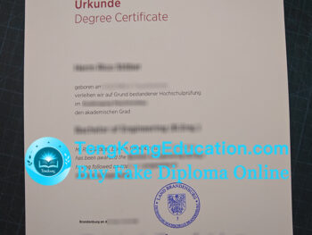 勃兰登堡应用科技大学文凭Technische Hochschule Brandenburg Urkunde
