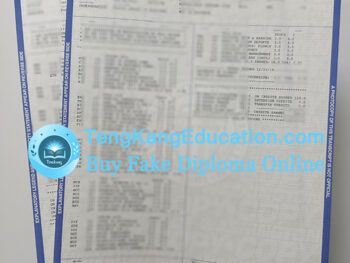 华盛顿大学成绩单University of Washington transcript