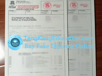 卡尔加里大学成绩单University of Calgary transcript