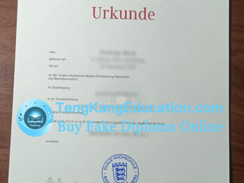 巴登符腾堡州立合作大学文凭DHBW Urkunde