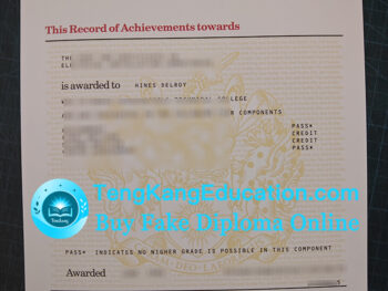 旧版伦敦城市与行会学院证书City and Guilds of London Institute certificate