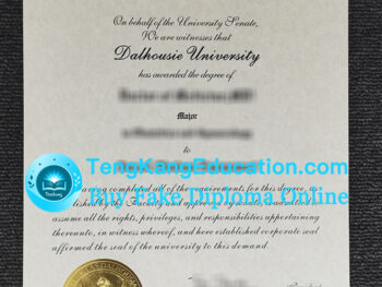 旧版达尔豪斯大学文凭Dalhousie University diploma