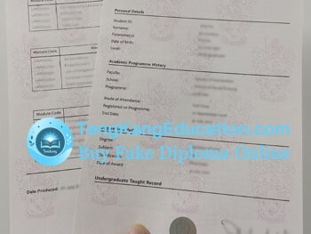 曼彻斯特大学成绩单University of Manchester transcript