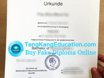 波恩大学毕业证Rheinische Friedrich-Wilhelms-Universität Bonn Urkunde