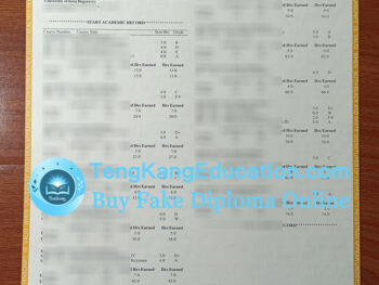 爱荷华大学成绩单University of Iowa transcript