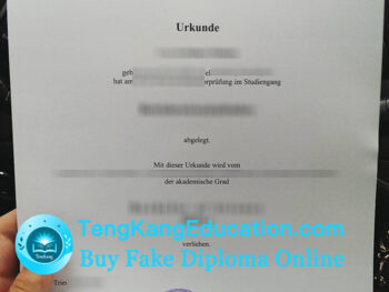 特里尔大学文凭Universität Trier Urkunde