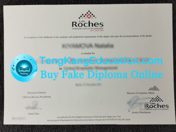 理诺士国际酒店管理学院文凭Les Roches International School of Hotel Management diploma