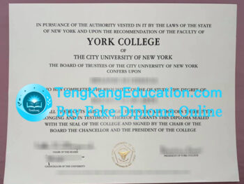 纽约市立大学约克学院毕业证York College, City University of New York diploma