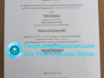 维也纳工业大学文凭Technische Universität Wien Urkunde