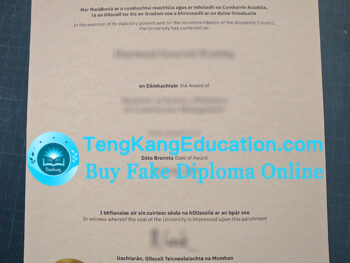 芒斯特理工大学文凭Munster Technological University diploma