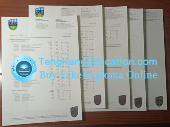 都柏林大学学院成绩单University College Dublin transcript