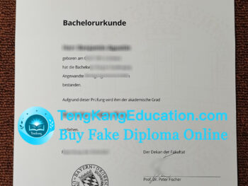 雷根斯堡大学文凭Universität Regensburg Urkunde