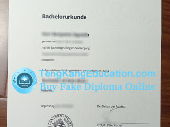 雷根斯堡大学毕业证Universität Regensburg Urkunde