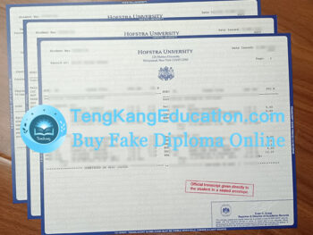 霍夫斯特拉大学成绩单Hofstra University transcript