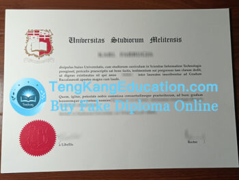 马耳他大学文凭University of Malta diploma