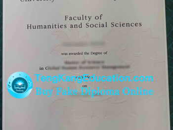 英国纽卡斯尔大学毕业证Newcastle University degree