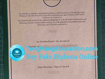 邓多克理工学院毕业证DkIT diploma