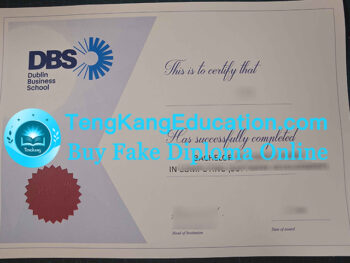 都柏林商学院文凭DBS degree