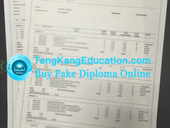 世纪大学成绩单SEGi University transcript