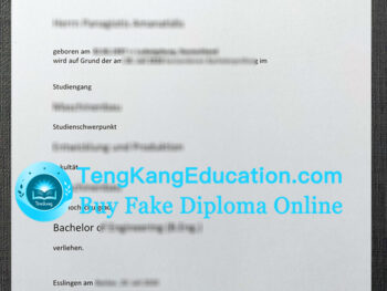 埃斯林根应用科学大学文凭Hochschule Esslingen Urkunde