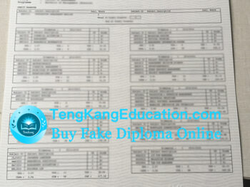 多媒体大学成绩单Multimedia University transcript