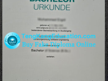 康斯坦茨应用科学大学文凭HTWG Konstanz Urkunde