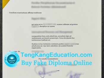 格罗宁根大学毕业证University of Groningen diploma